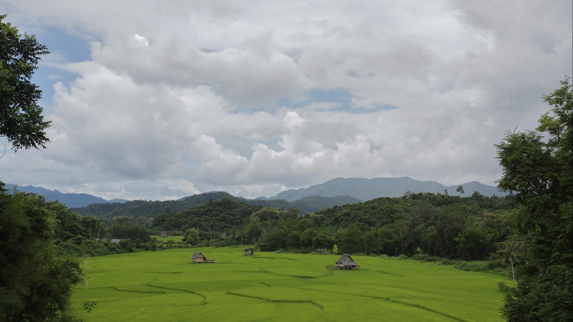 Multi-Day Cycling Tour Laos: Epic Adventures with Golden Cycling Tours